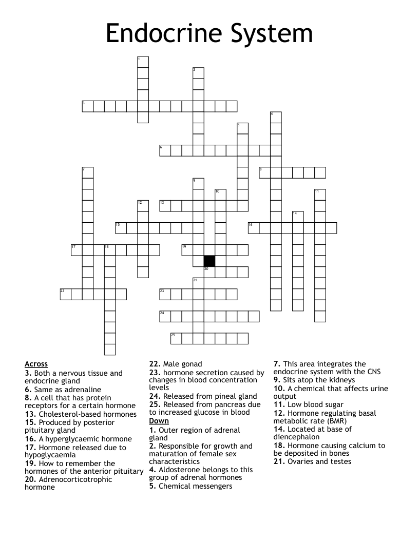 Endocrine System Worksheet WordMint