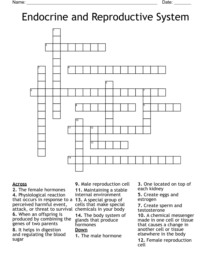 Endocrine and Reproductive System Crossword