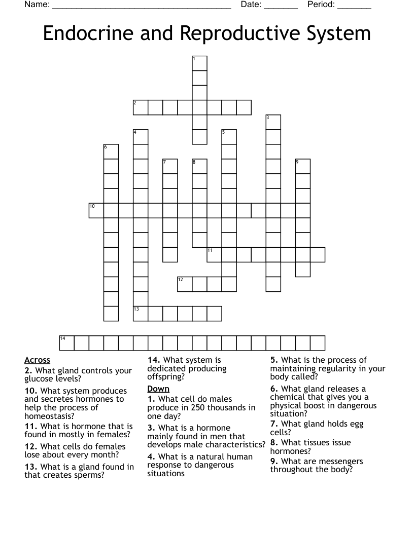 Endocrine and Reproductive System Crossword