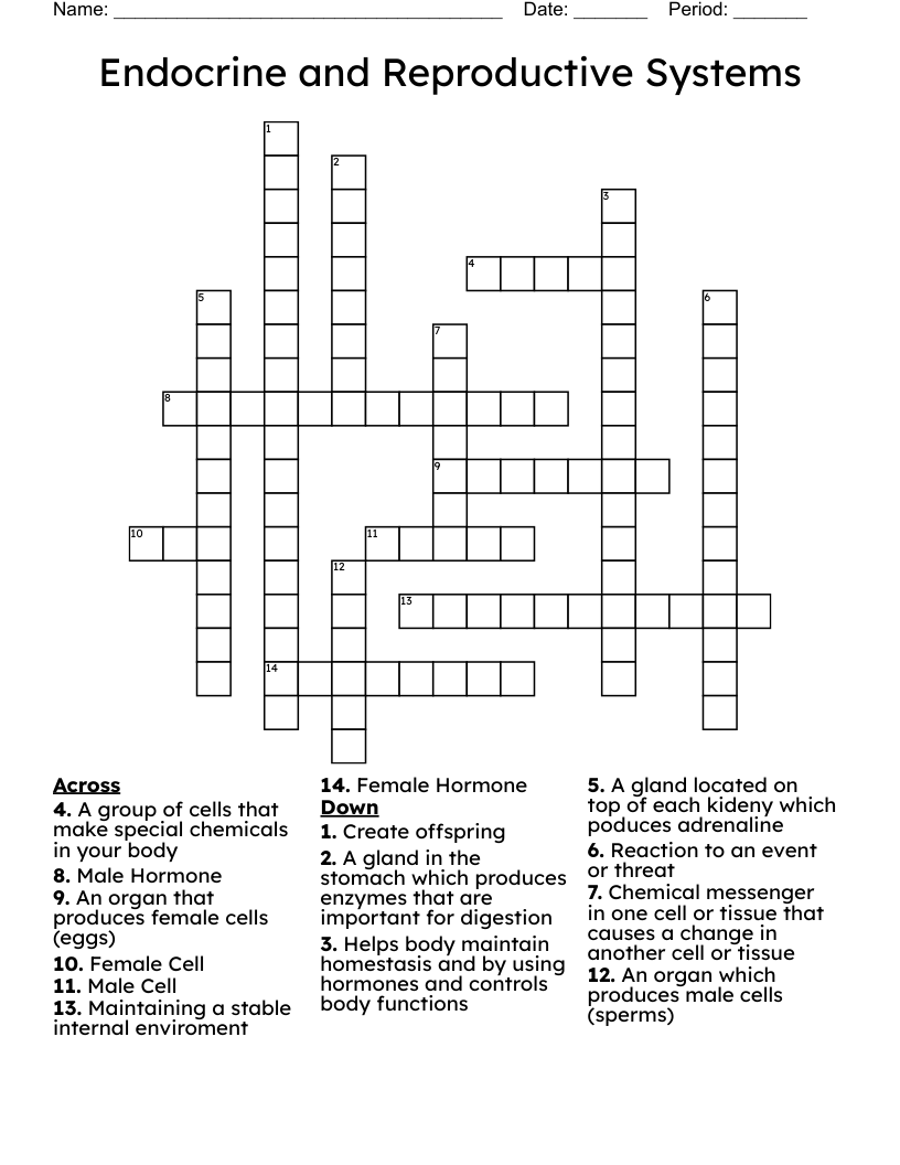 Endocrine and Reproductive Systems Crossword WordMint