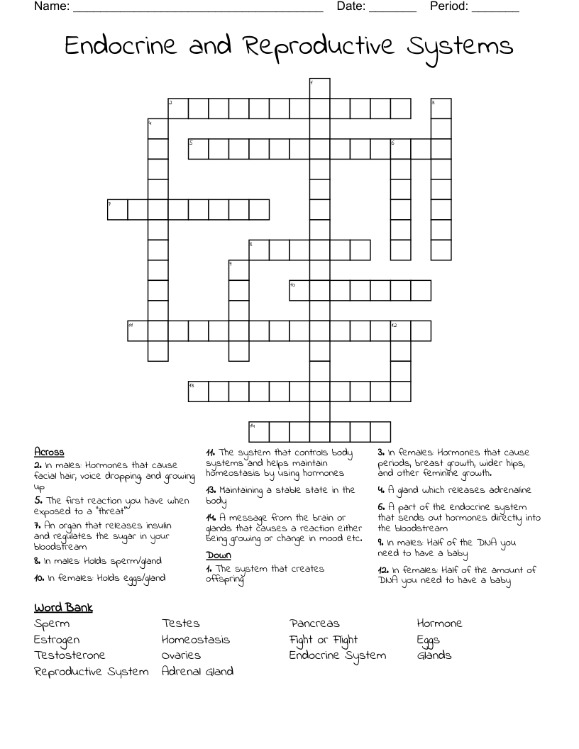 Endocrine and Reproductive Systems Crossword WordMint