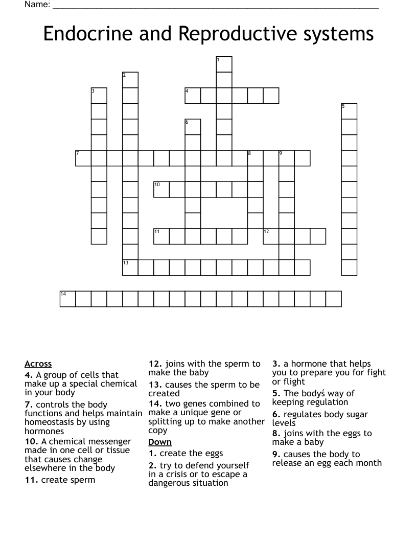 Endocrine and Reproductive systems Crossword WordMint
