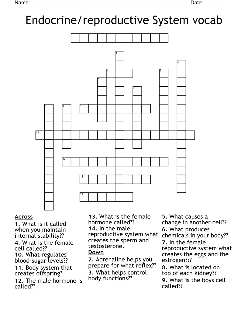 Endocrine/reproductive System vocab Crossword