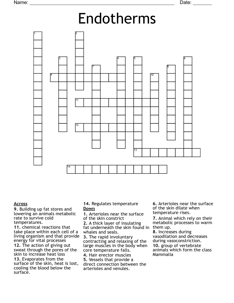 Endotherms  Crossword
