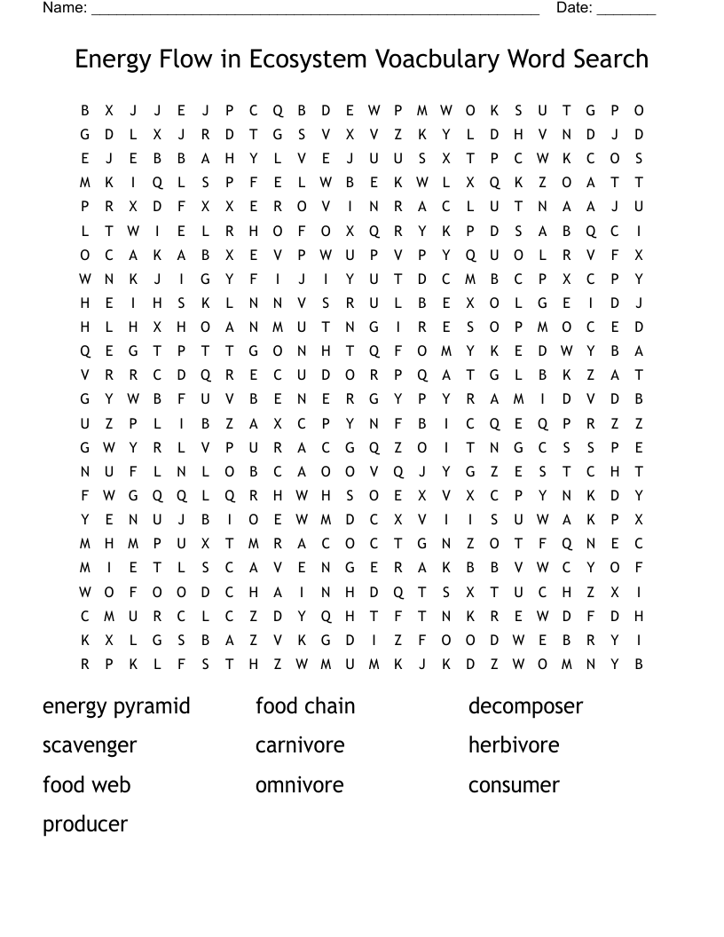 Energy Flow in Ecosystem Voacbulary Word Search - WordMint Regarding Energy Flow In Ecosystems Worksheet