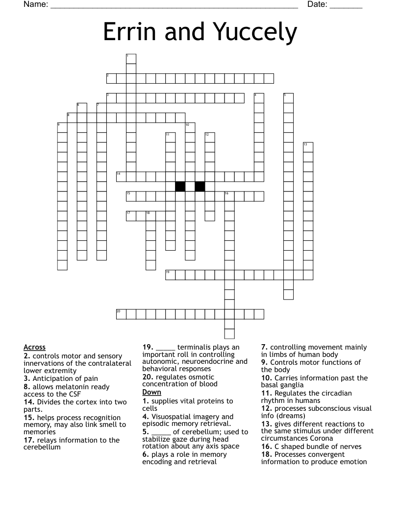 Errin and Yuccely Crossword
