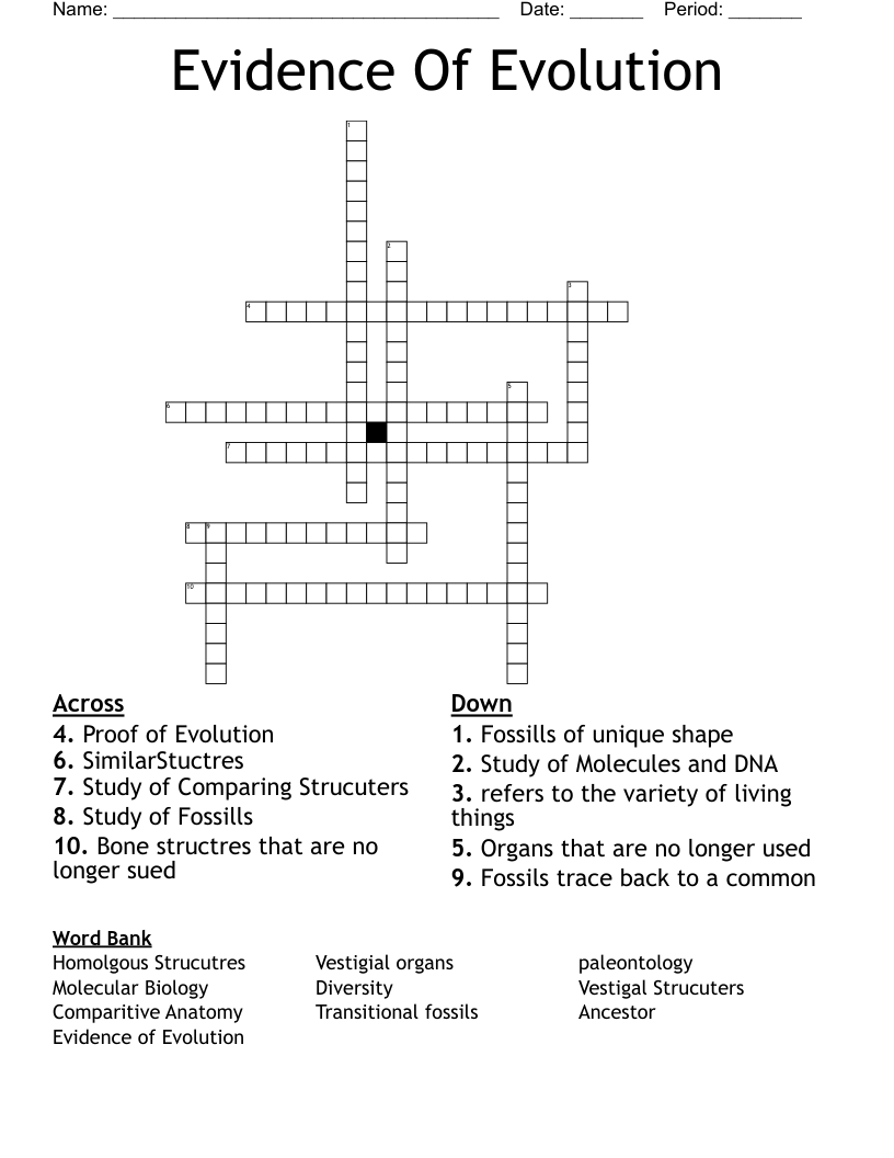 Evidence Of Evolution Crossword - WordMint Intended For Evidence Of Evolution Worksheet Answers