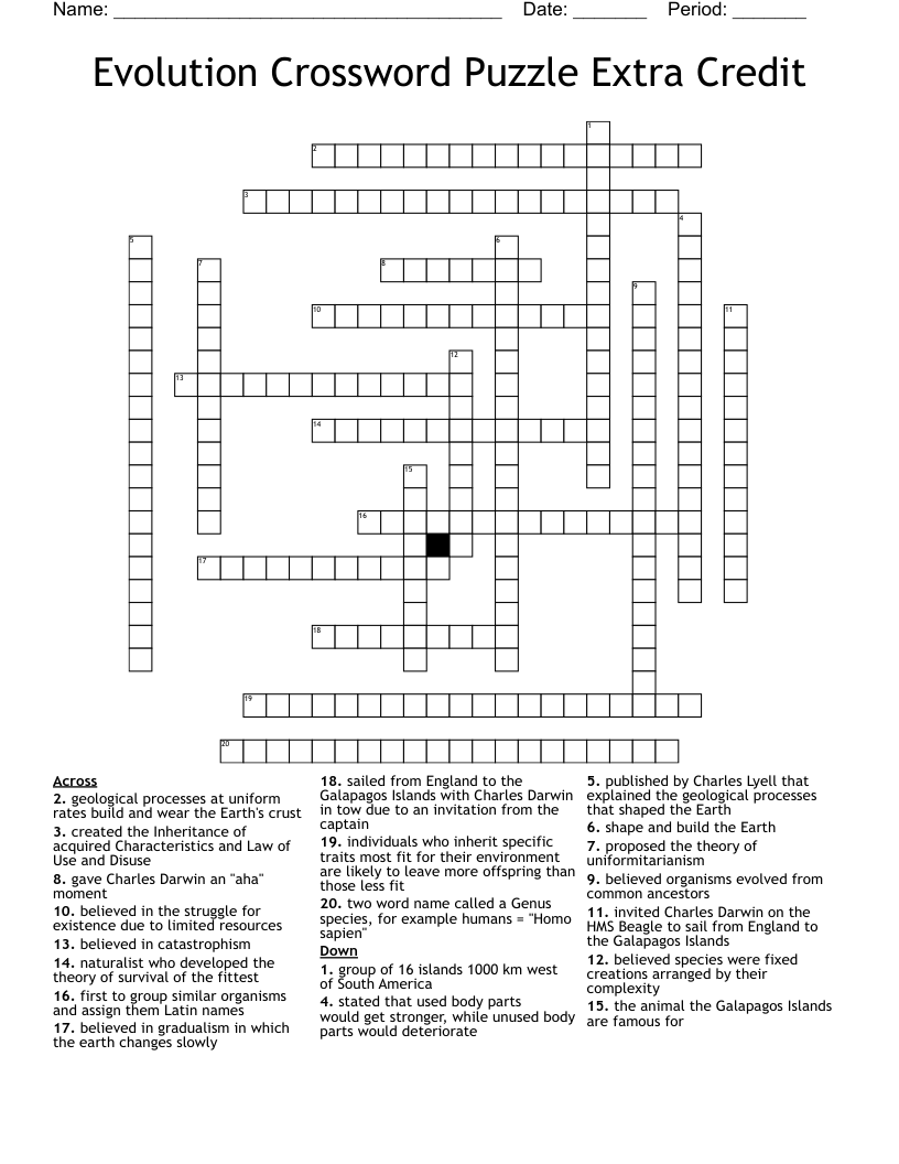 Evolution Crossword Puzzle Extra Credit WordMint