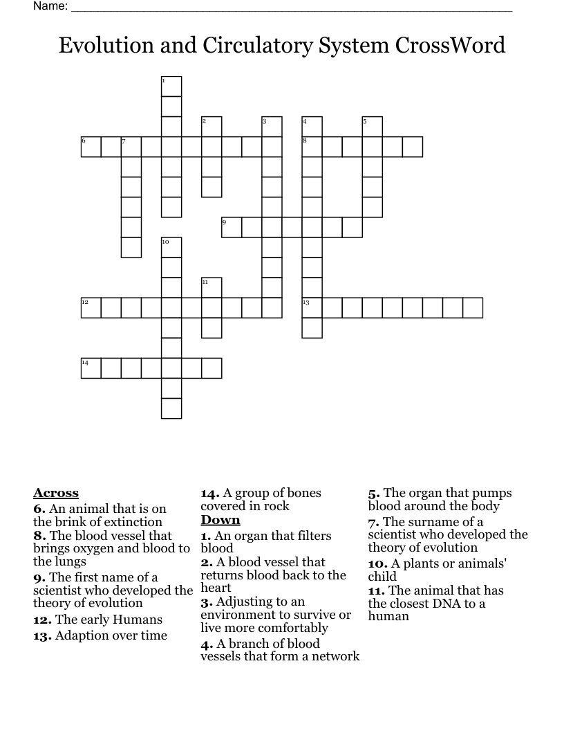 Evolution and Circulatory System CrossWord