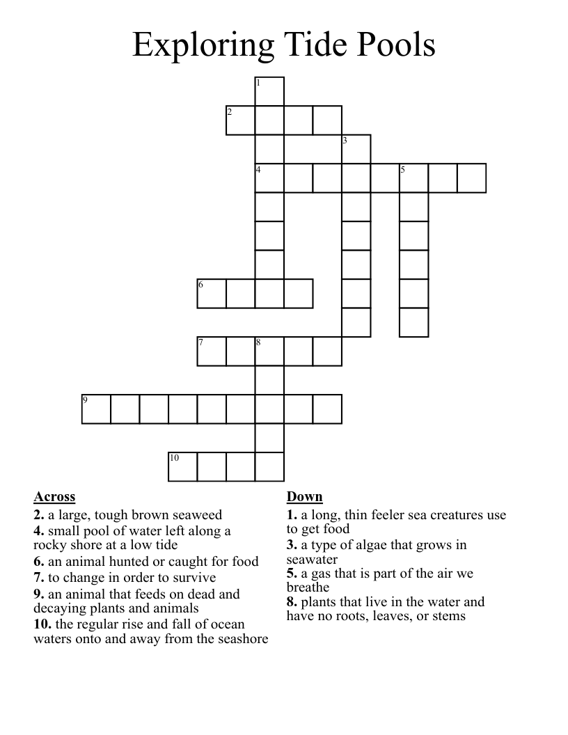 Exploring Tide Pools Crossword WordMint