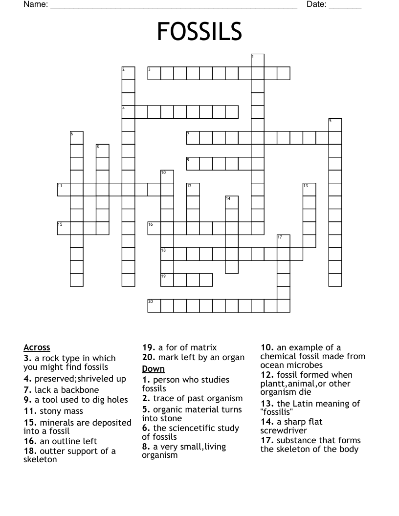 How Fossils Are Made Crossword WordMint
