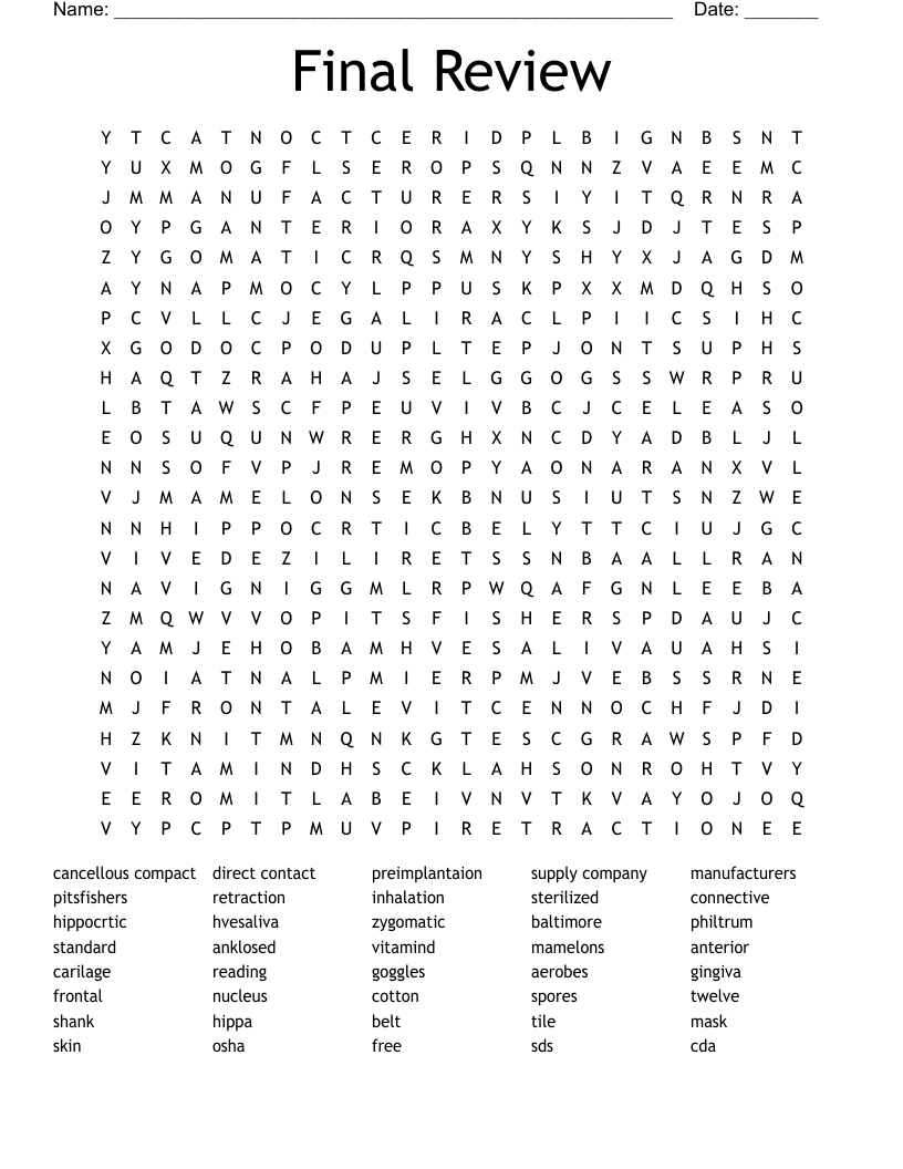 Final Review Word Search