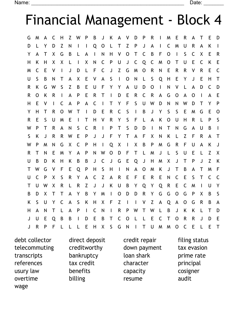 Financial Management - Block 4 Word Search