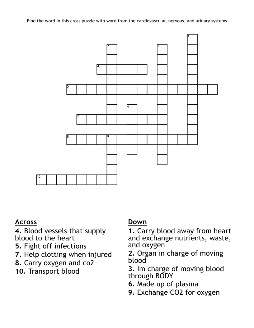 Find the word in this cross puzzle with word from the cardiovascular, nervous, and urinary systems  Crossword