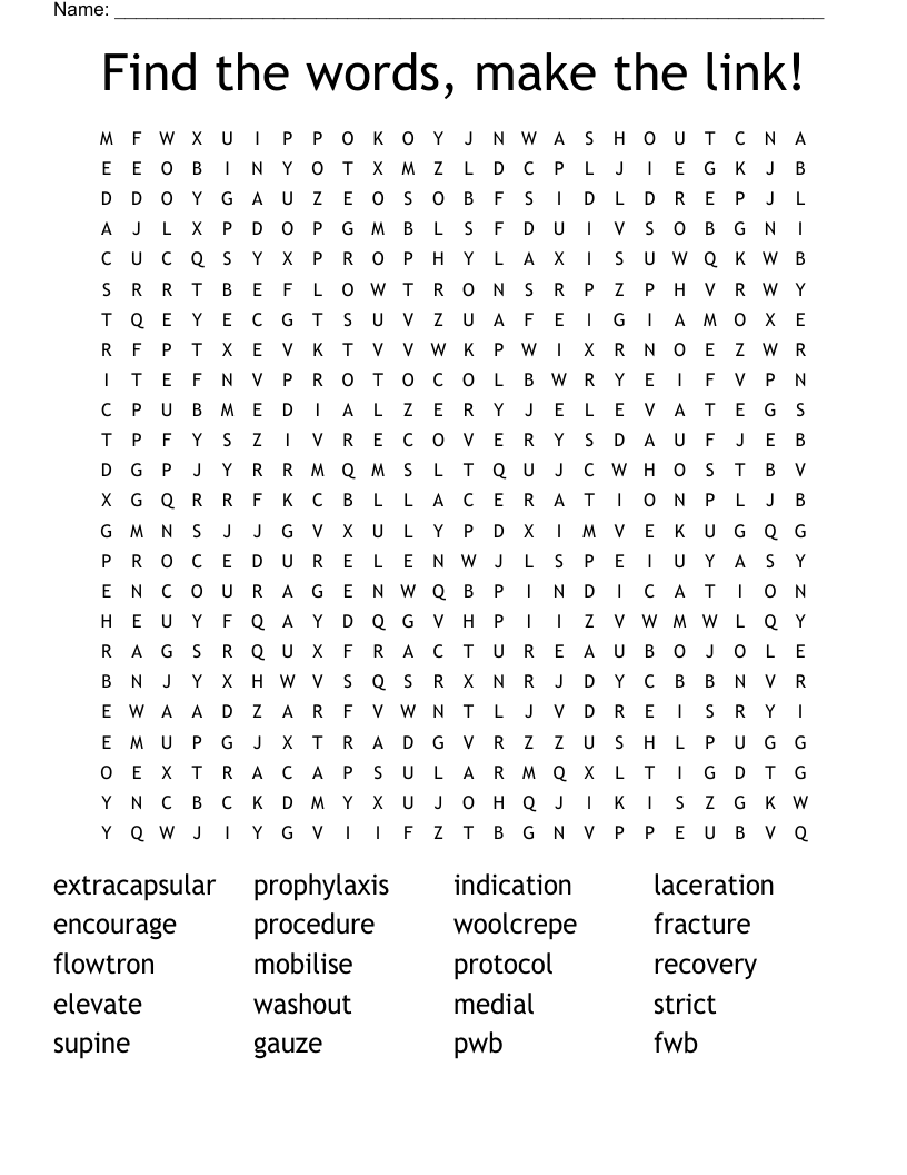 Find the words, make the link!  Word Search