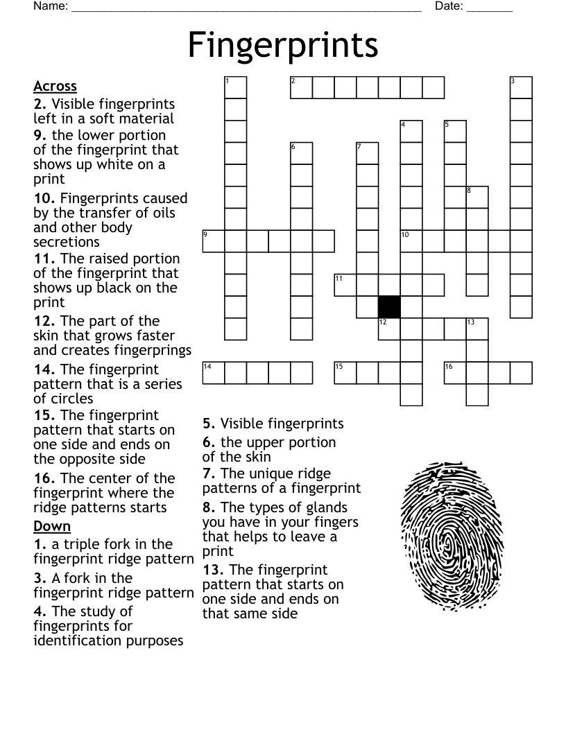 Similar To Fingerprint Crossword Puzzle WordMint