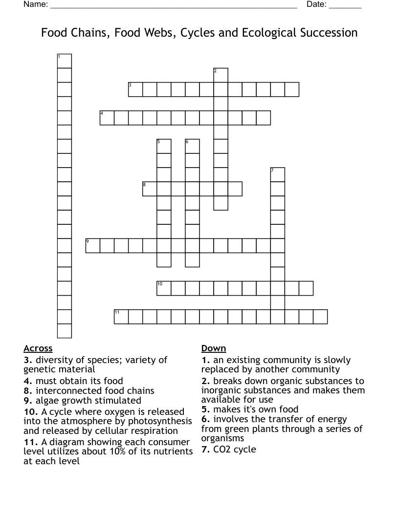 Food Chains, Food Webs, Cycles and Ecological Succession Crossword