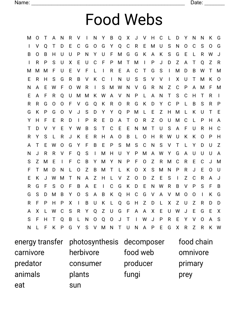 FOOD WEB Word Scramble WordMint