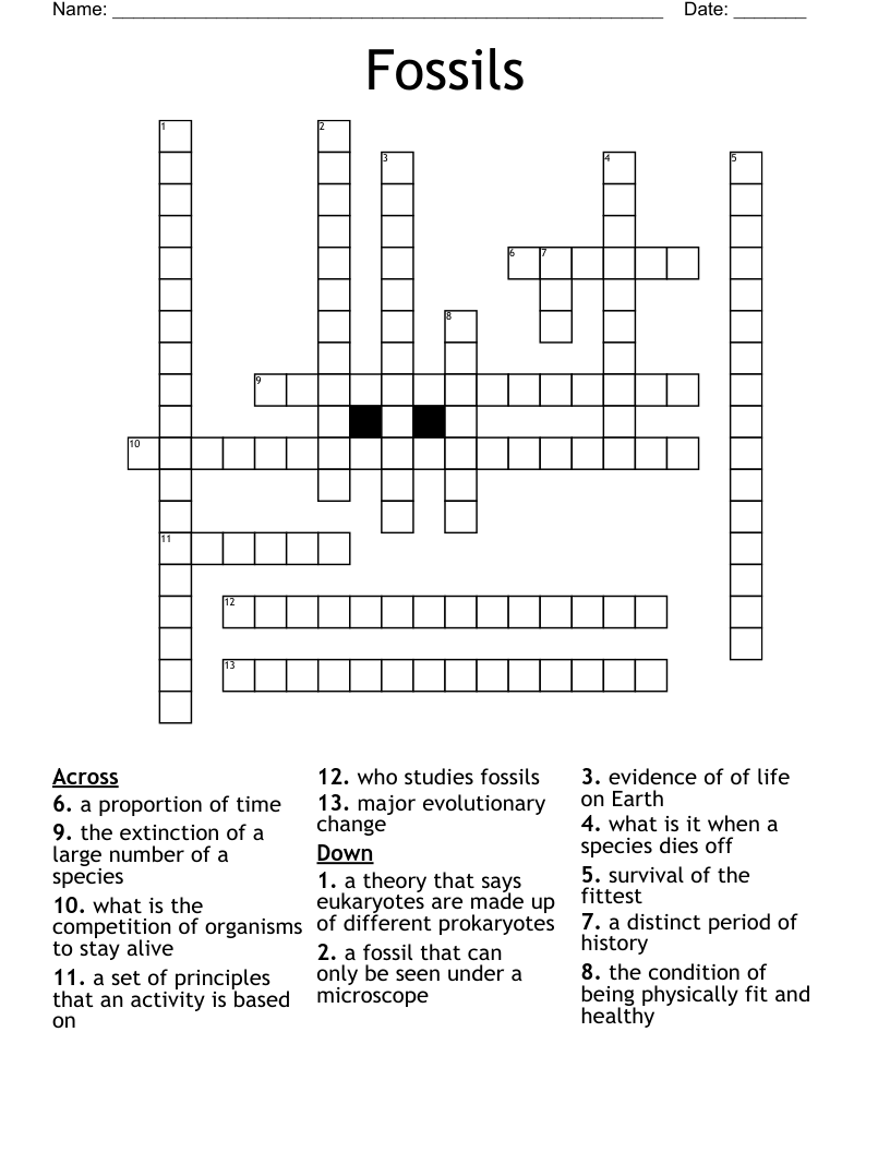 Fossils Crossword WordMint