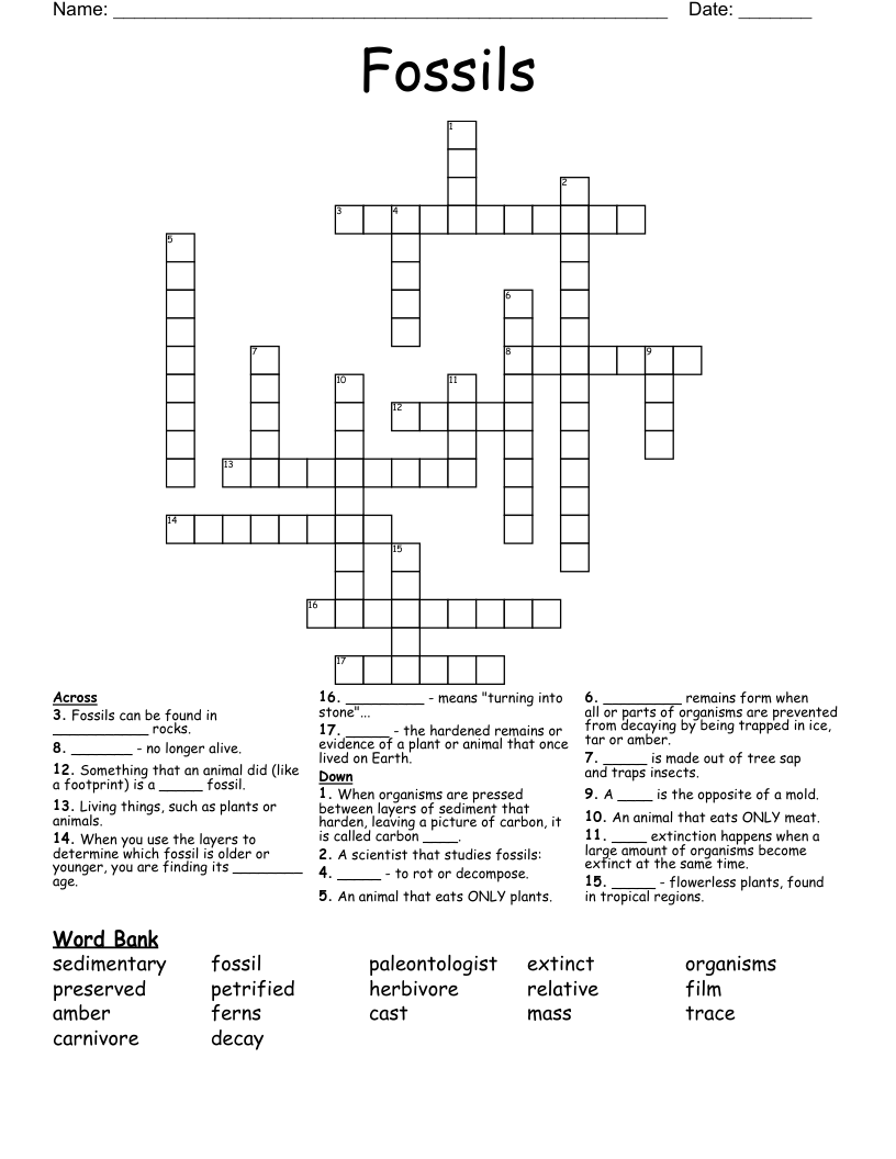 Fossils Crossword WordMint