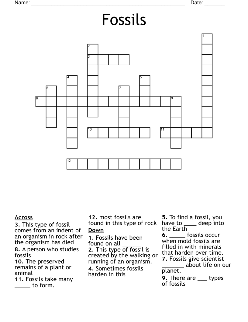Fossils Crossword Puzzle WordMint