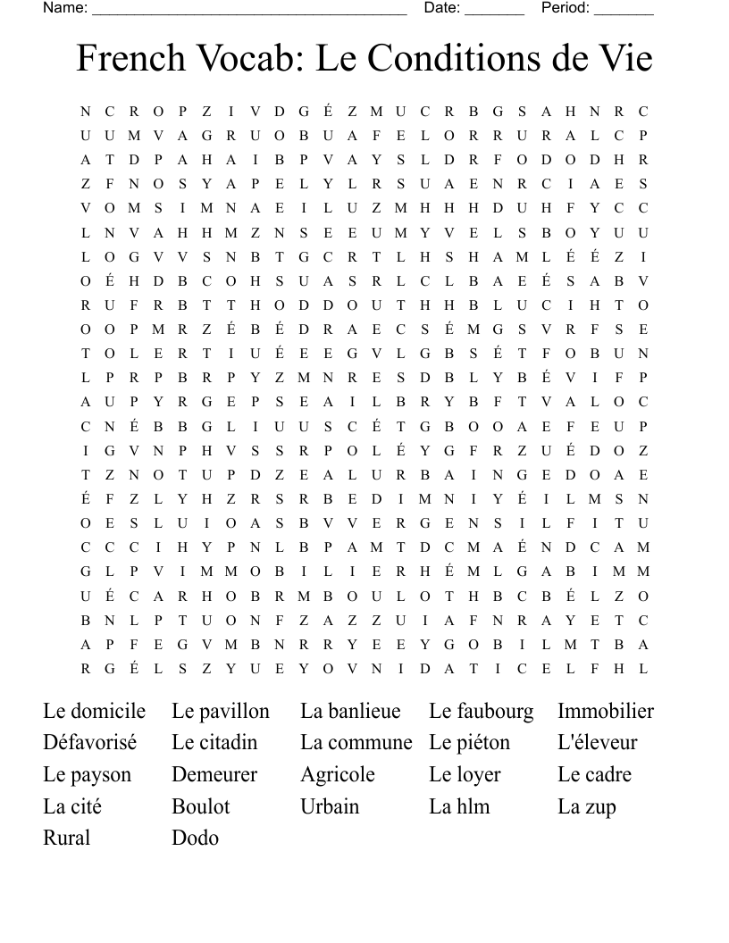 French Vocab: Le Conditions de Vie Word Search