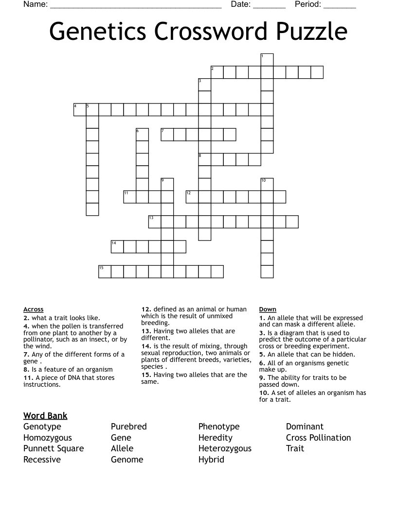 Genetics Crossword Puzzle WordMint
