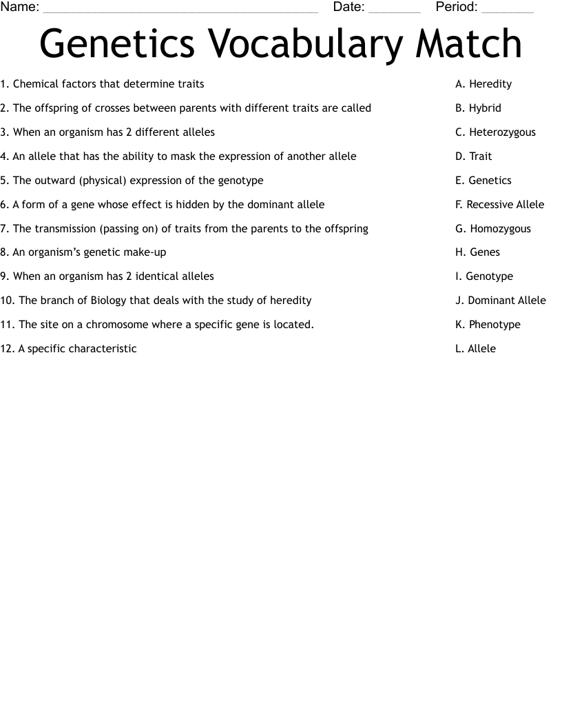 Genetics Vocabulary Match Worksheet - WordMint