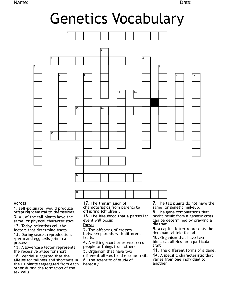 Modern Genetics Crossword Puzzle Answer Key Semanario Worksheet For 