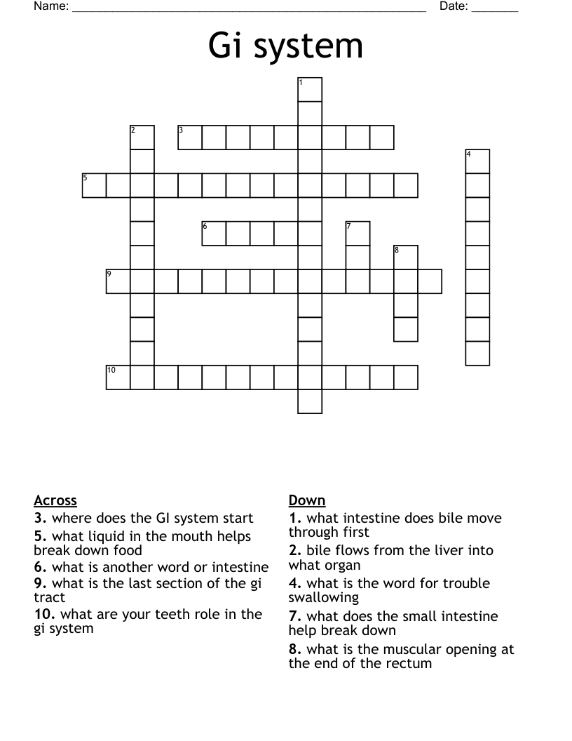 Gi system Crossword