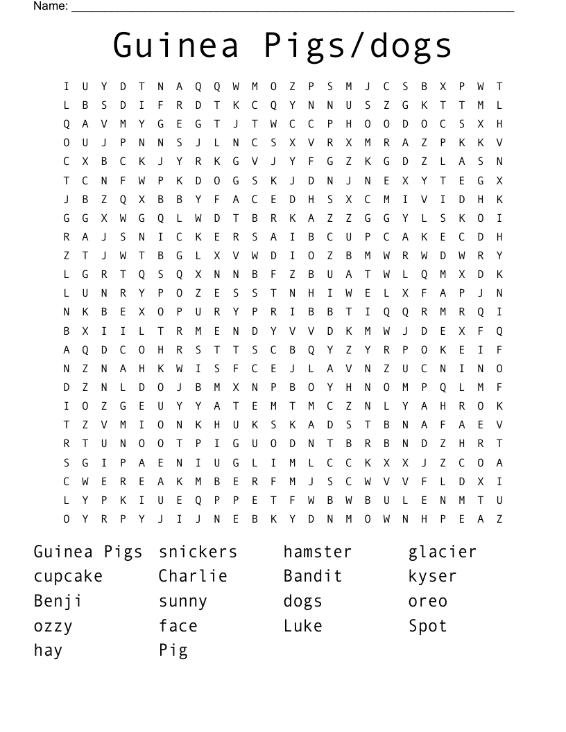 Guinea Pigs/dogs Word Search