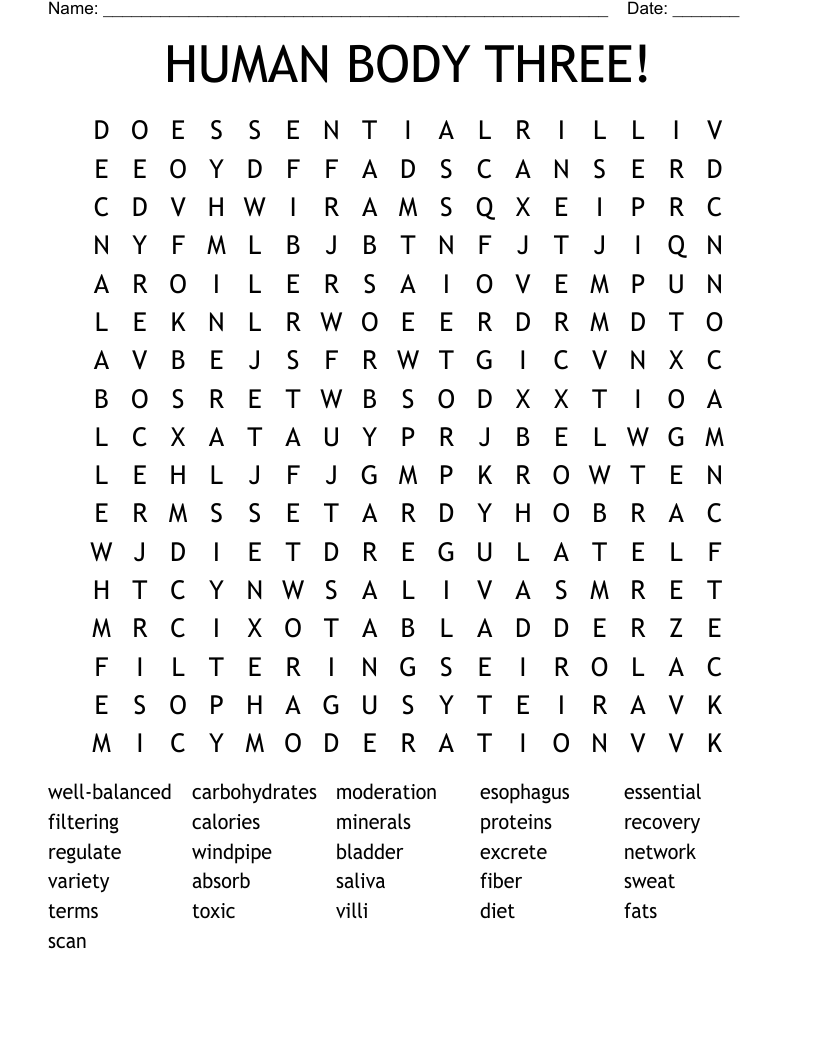 HUMAN BODY THREE! Word Search
