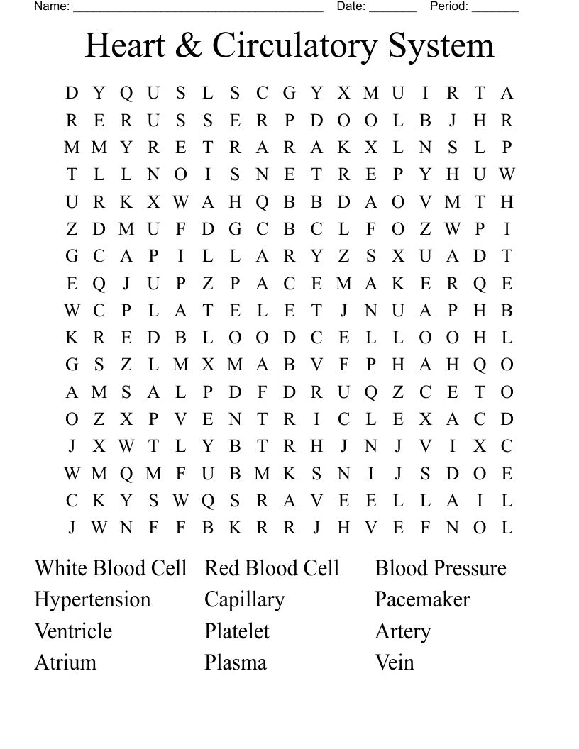 Circulatory System Vocabulary Word Search WordMint