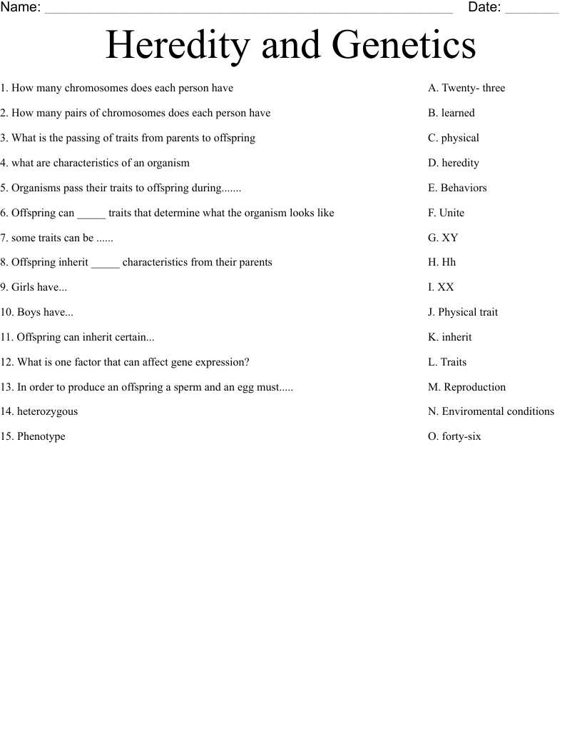 Heredity And Genetics Worksheet WordMint