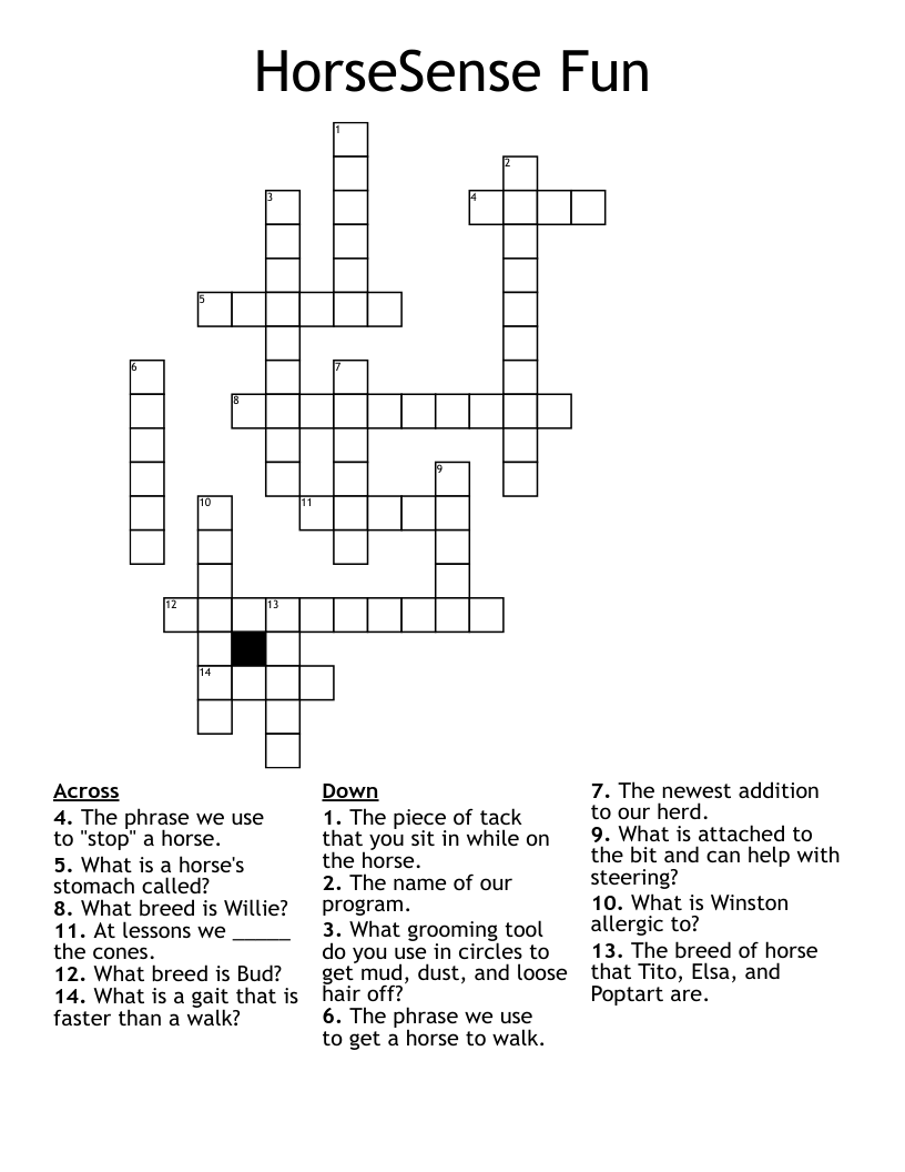 HorseSense Fun Crossword