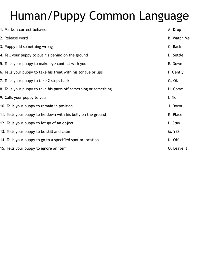 Human/Puppy Common Language Worksheet