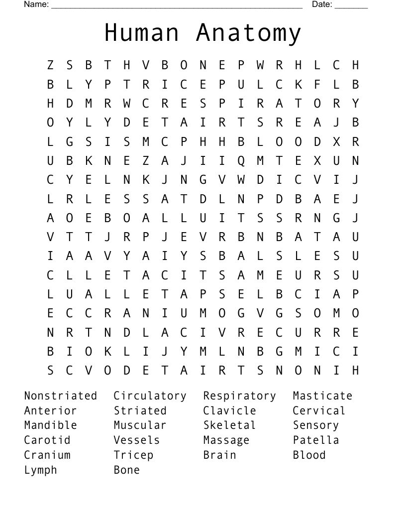 Human Anatomy Word Search WordMint
