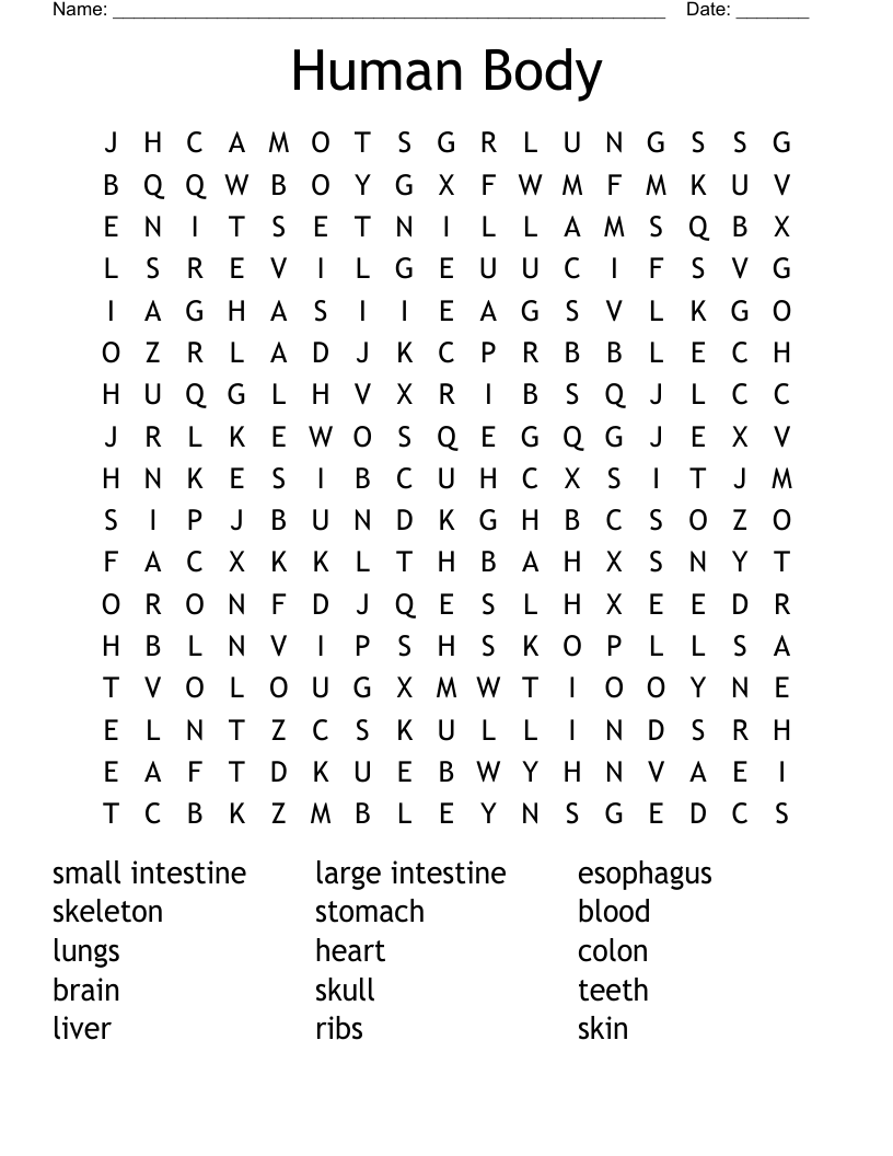 Human Body Word Search