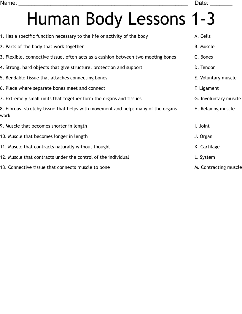 Human Body Lessons 1-3 Worksheet