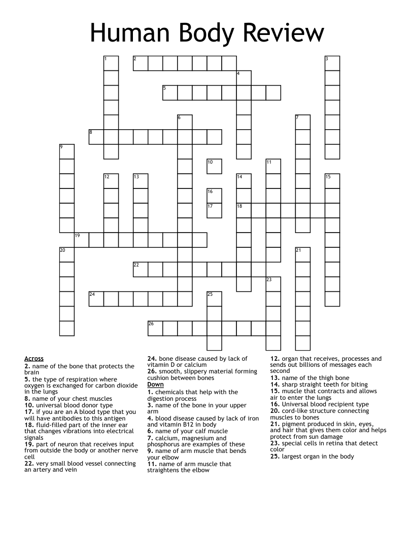 Human Body Review Crossword WordMint
