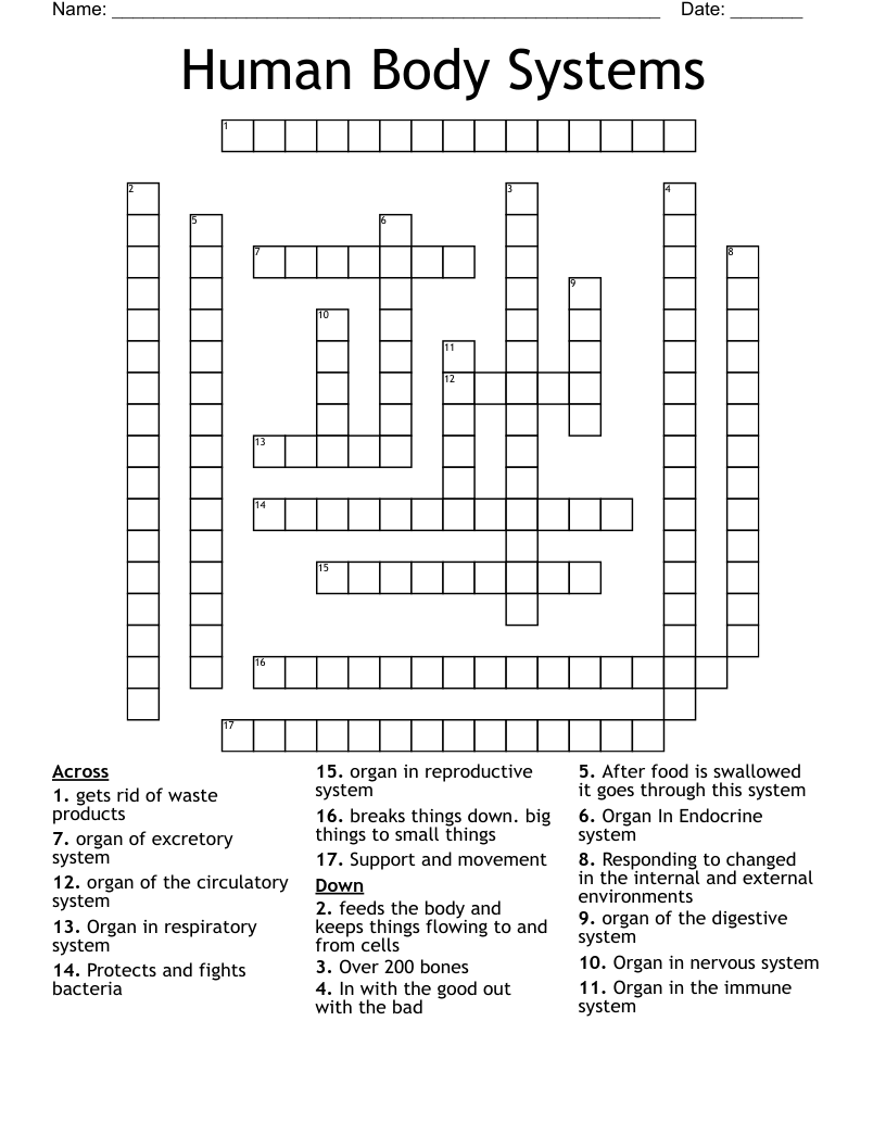 Human Body Crossword Puzzle Worksheet