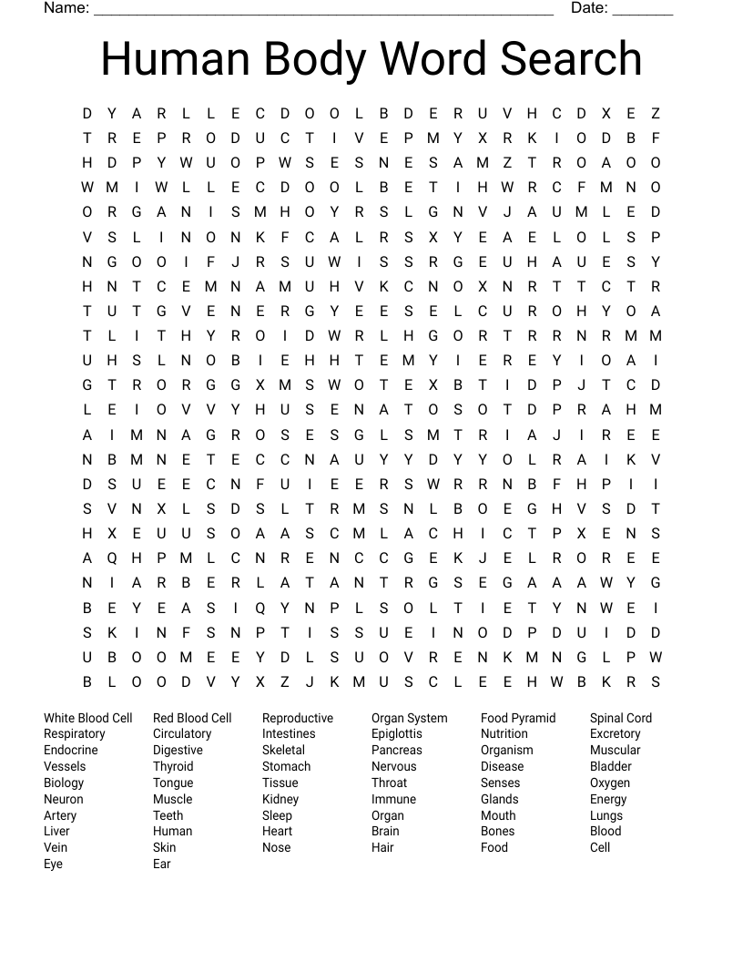 Human Organs Word Search WordMint