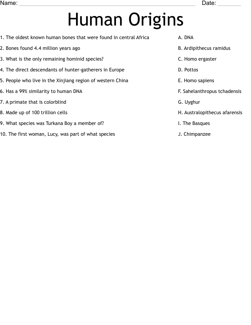 Human Origins Worksheet WordMint