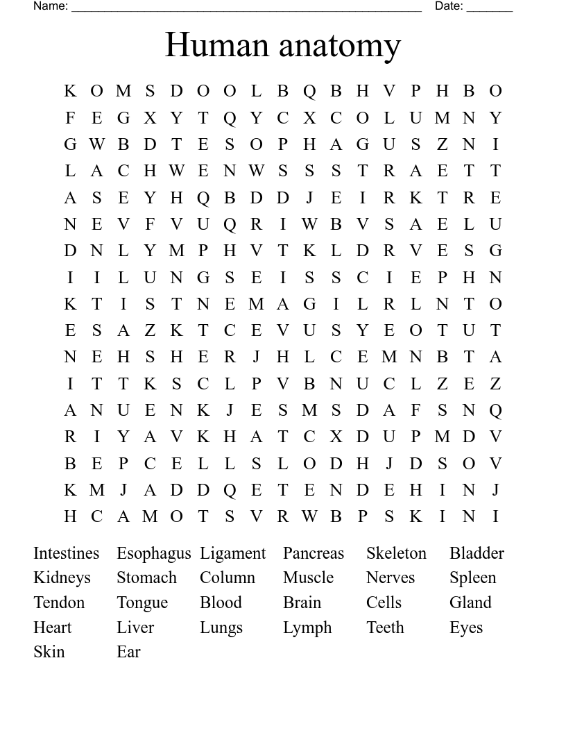 Human Anatomy Word Search WordMint