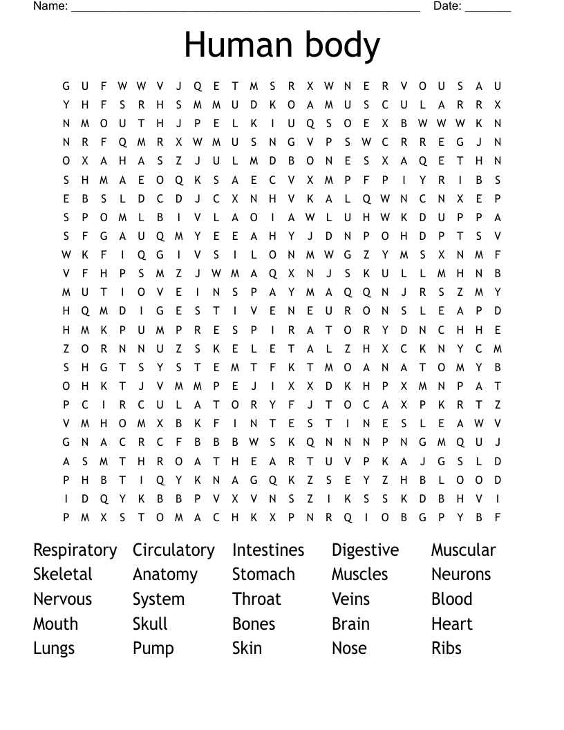 Body Systems Word Search WordMint