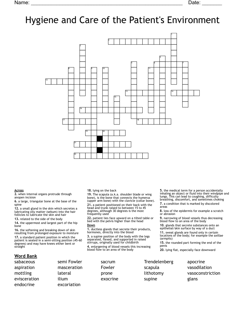 Hygiene and Care of the Patient's Environment