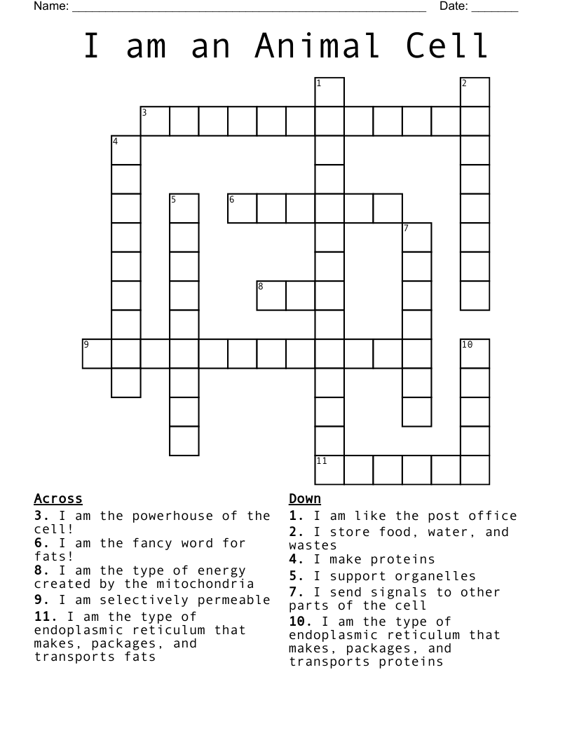 I am an Animal Cell Crossword