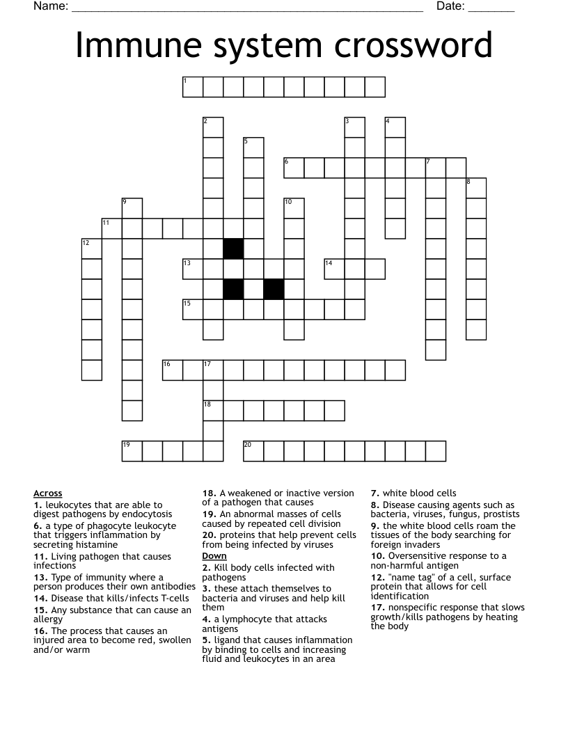 Immune System Crossword WordMint
