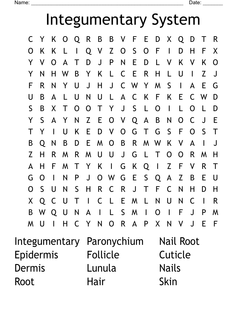 INTEGUMENTARY SYSTEM NAIL Word Search WordMint