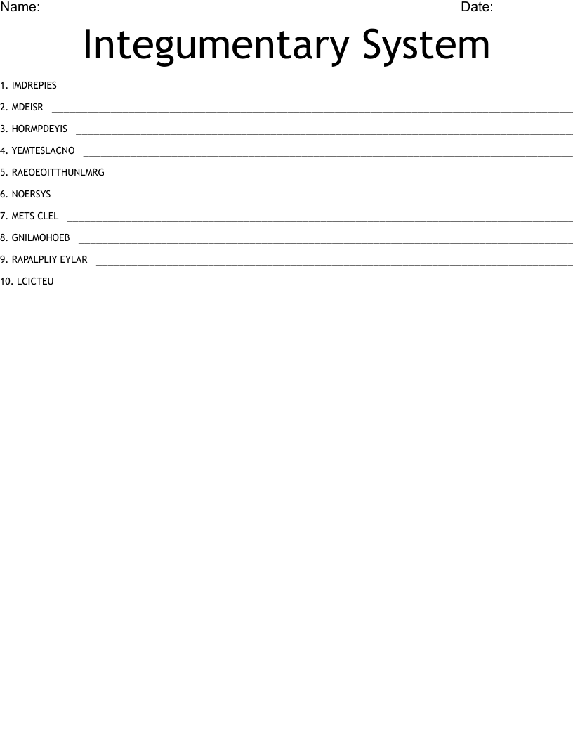 Integumentary System Word Scramble